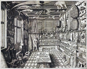 "Musei Wormiani Historia", the frontispiece from the Museum Wormianum depicting Ole Worm's cabinet of curiosities.
