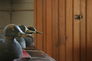 Digitized collections unsettle the role of tangible objects, like these antique duck decoys.  Photo credit:  Marcus Jeffrey