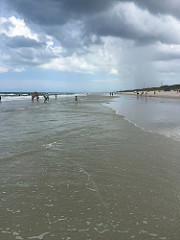 Canaveral National Seashore has seen four ethics investigations since 2012 over allegations of sexual harassment. Photo credit: Todd Van Hoosear.