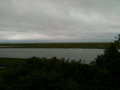 Present day view of Nauset Marsh from Fort Hill, Eastham, Massachusetts, looking northeast. Photo credit: the author.