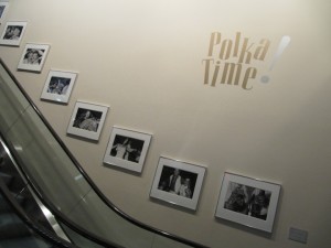 display of photographs