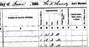 Even traditional sources give a sense of the age, sex, complexion, and genealogy of plantation labor.  Although all white members of the household were discussed in detail, final edits removed even the age range of the enslaved.  1860 Federal Slave Schedule. 