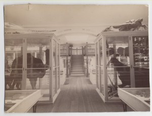 The Jenks Museum, 1894. Photo credit: John Hay Library and Brown University Archives.