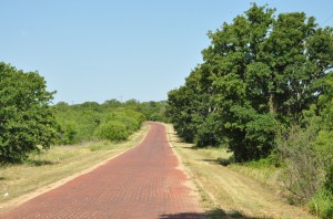 Bankhead Highway (ca. 1924), Cisco, Texas (photograph courtesy Rebekah Dobrasko)