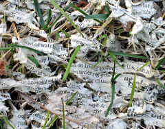 newspaper-in-field