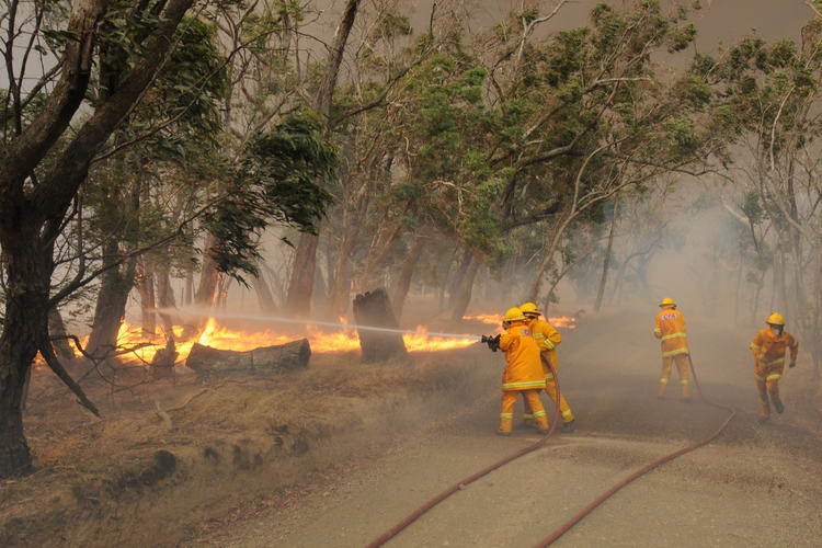 Making meaning from ashes—the development of the Victorian Bushfires