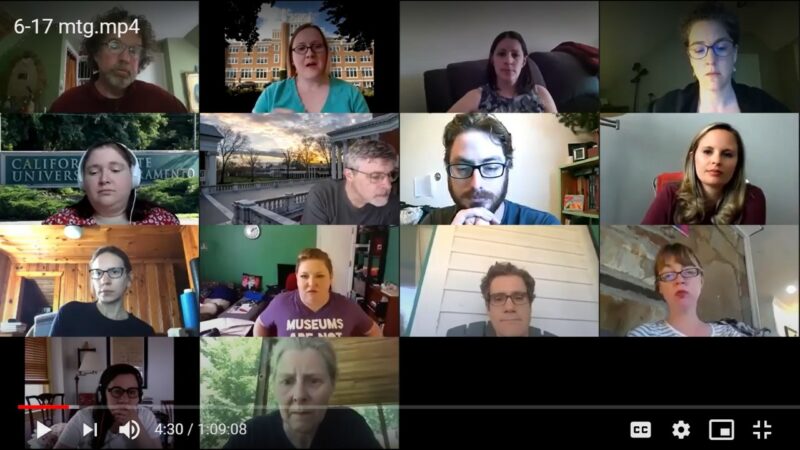 Screen grab from Zoom meeting of working group with 14 people on a Zoom call.