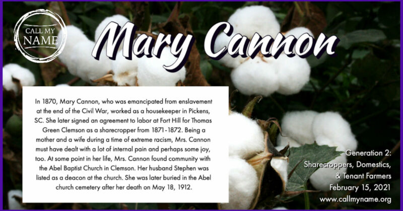Overlaid on a background image depicting cotton blossoms is the logo for Call My Name and the name Mary Cannon printed in a white cursive script. In the bottom right of the image are the words Generation 2: Sharecroppers, Domestics, & Tenant Farmers February 15, 2021 www.callmyname.org; and in a white text box in the bottom left of the image are the words: In 1870, Mary Cannon, who was emancipated from enslavement at the end of the Civil War, worked as a housekeeper in Pickens, SC. She later signed an agreement to labor at Fort Hill for Thomas Green Clemson as a sharecropper from 1871-1772. Being a mother and a wife during a time of extreme racism, Mrs. Cannon must have dealt with a lot of internal pain and perhaps some joy, too. At some point in her life, Mrs. Cannon found community with the Abel Baptist Church in Clemson. Her husband Stephen was listed as a deacon at the church. She was later buried in the Abel church cemetery after her death on May 18, 1912. 