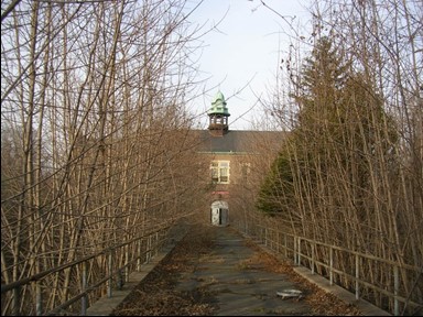 A huge structure is topped by a green cupola, and it is surrounded by trees and bushes so tall that they hide most of the building.