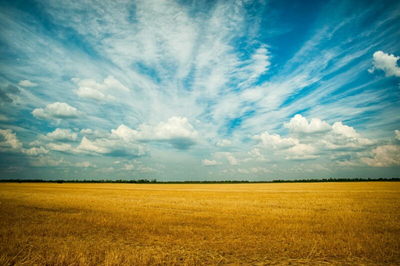 Blue sky over brown field
