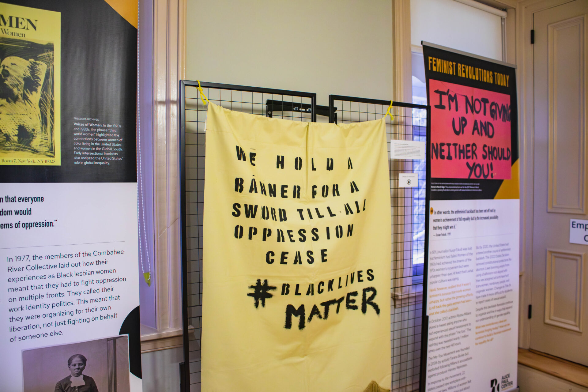 Feminist revolutions: interpreting the unfinished promise of the